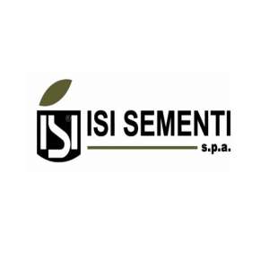 Максія F1 - цибуля ріпчаста, 1 000 насіння, Isi Sementi (Иси Сементи), Італія фото, цiна